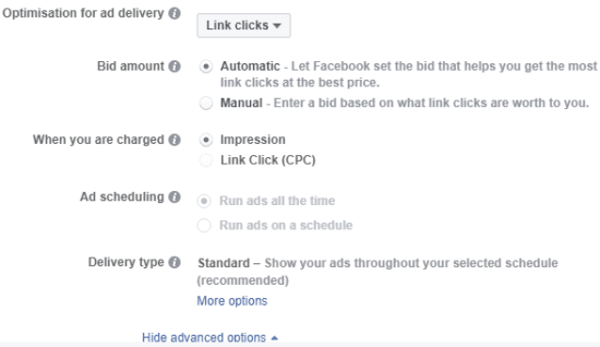 facebook ad optimisation bid delivery type settings